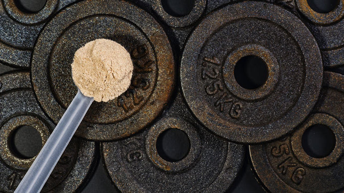 Where Can You Buy Leucine Powder?