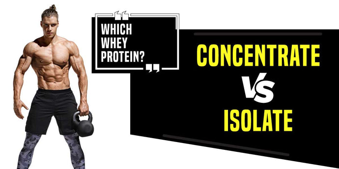 What Is Protein Isolate?