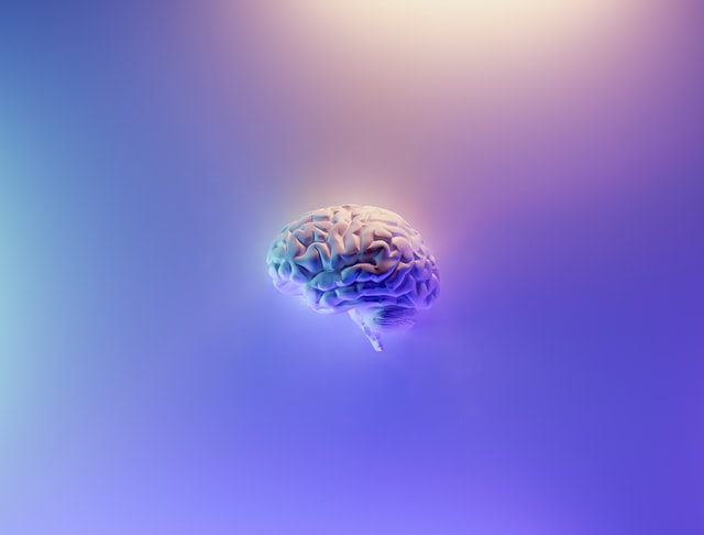 Fructose Shown to Obstruct Brain Repair – ENU Nutrition Shakes Avoid Ingredient at All Cost