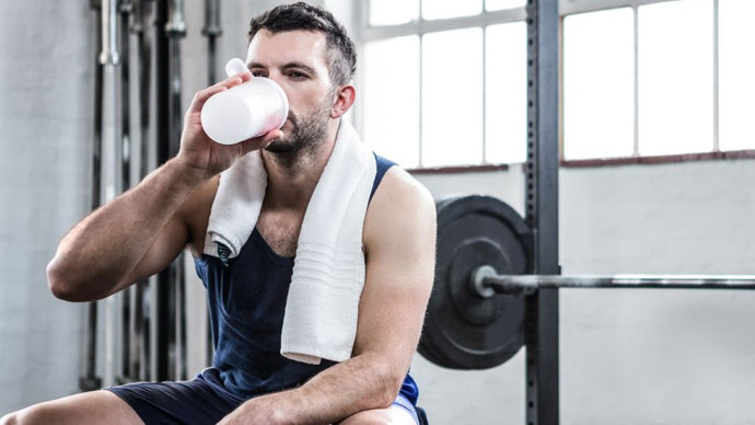 Can I Just Drink Protein Shakes to Lose Weight?