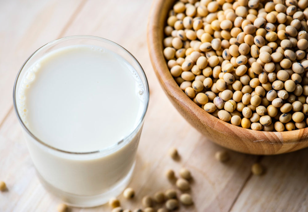 Sources of Leucine for Vegans