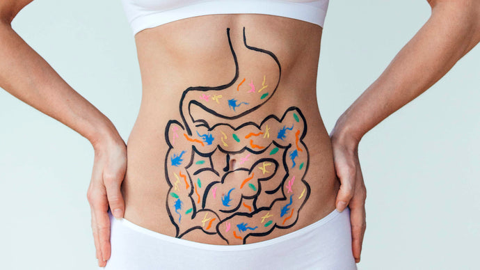 How Does Cystic Fibrosis Cause Maldigestion and Malabsorption?
